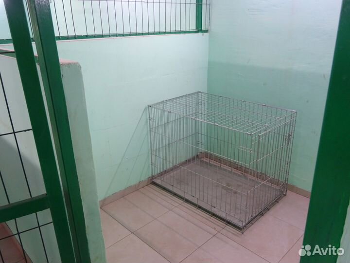 Передержка (гостиница ) для собак