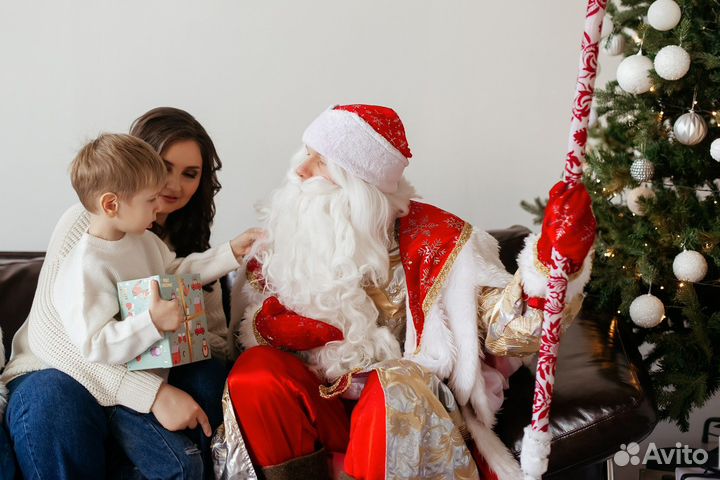 Дед мороз и снегурочка на дом