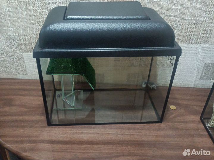 Аквариумы для черепах