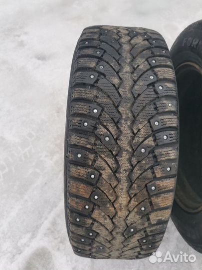 Pirelli Formula Ice 205/60 R16