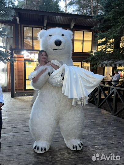 Белый мишка поздравление