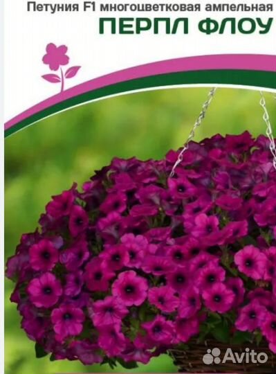 Петунья ампельная и каскадная
