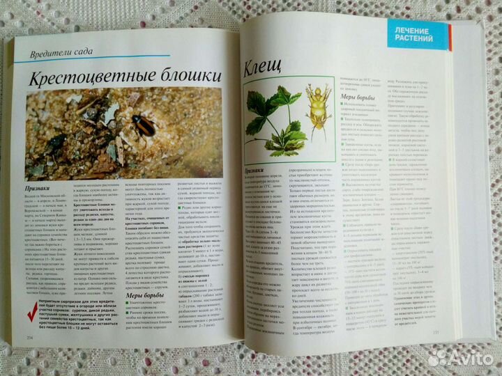 Энциклопедии. Садоводство. Цветоводство