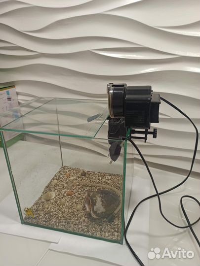 Аквариум 25см 16л