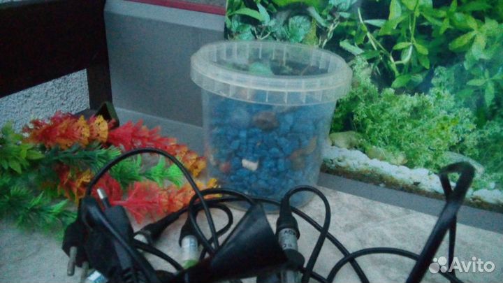 Набор для рыб коряги, воздух, обогреватели, воздух