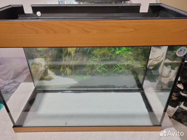 Аквариум