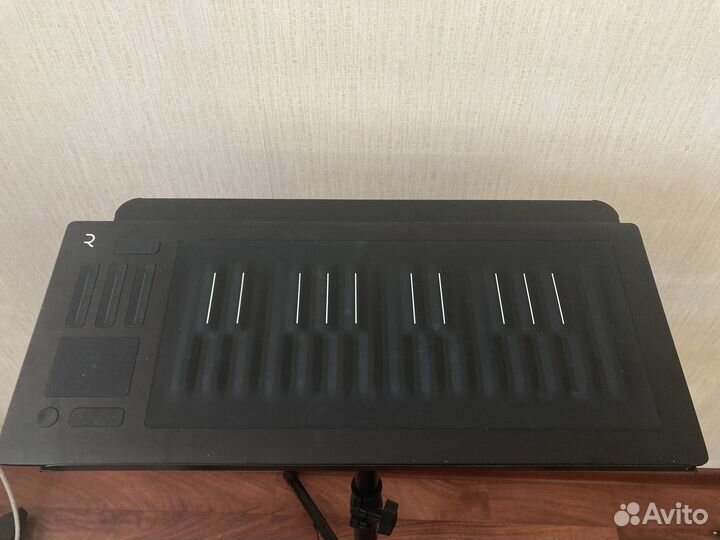 Roli seaboard rise 25