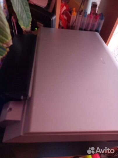 Принтер сканер копир epson мфу фото