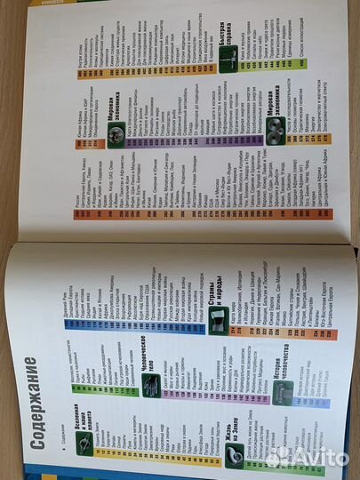 Только факты