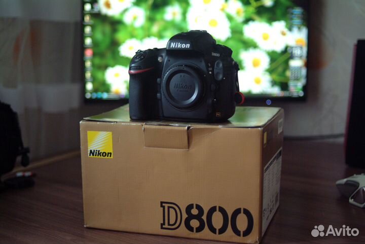 Nikon D800 body