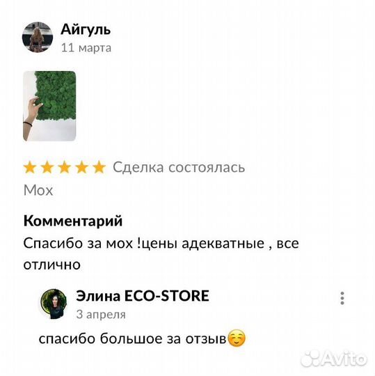 Картина из мха без подсветки