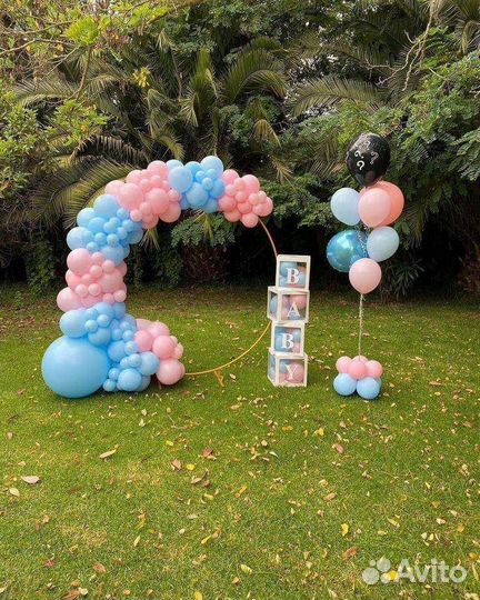Шары на выписку, гендер пати