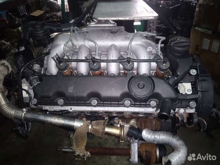 Двигатель Peugeot 807 2004г. 4HW