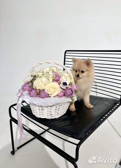 Корзина с цветами Букеты