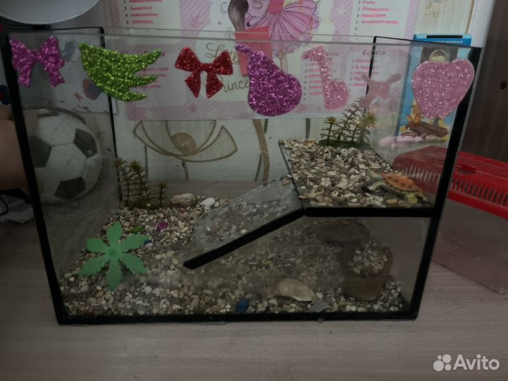 Аквариум для черепах