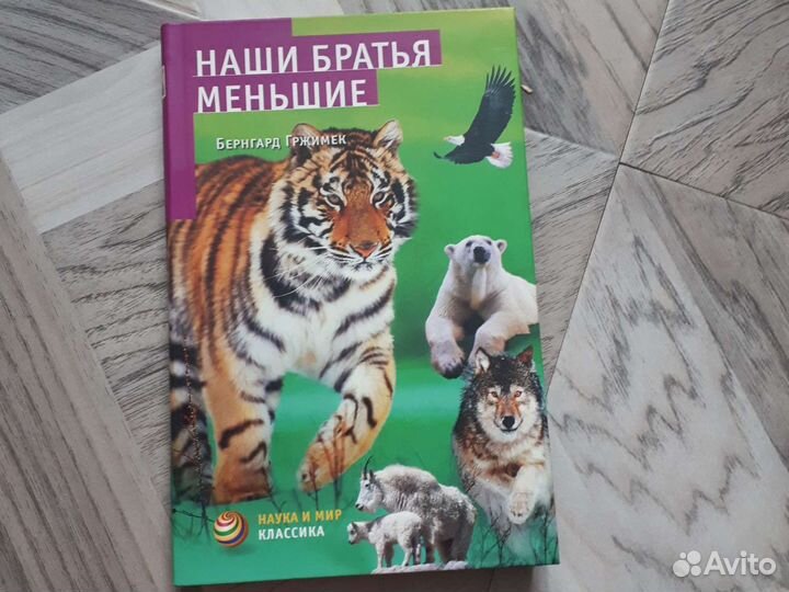 Наши братья меньшие