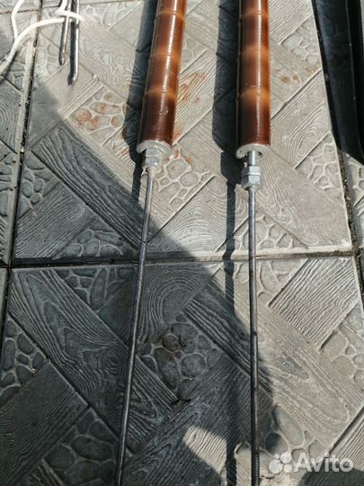 Певчие лесные птицы