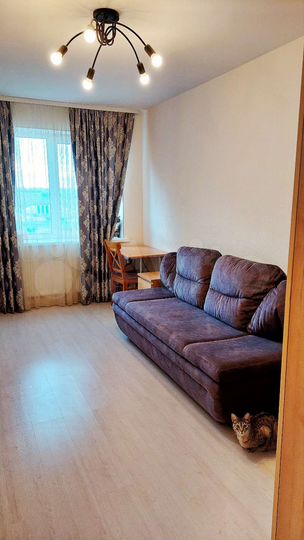 1-к. квартира, 37,2 м², 10/17 эт.