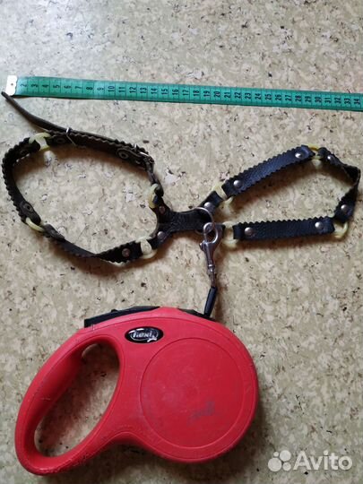 Шлейка + поводок рулетка
