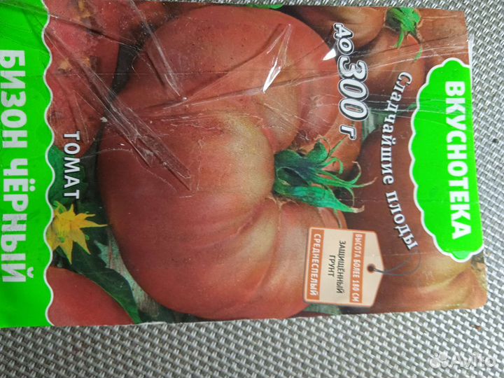 Рассада помидор