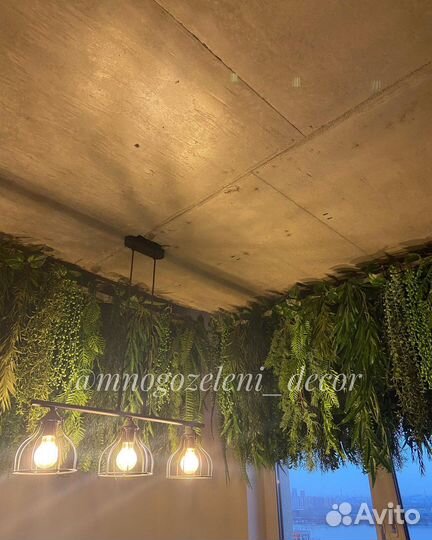 Ампельные (свисающие) растения, подвесные сады