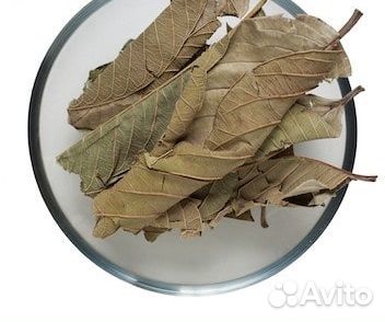Листья Гуавы Египет 100грамм