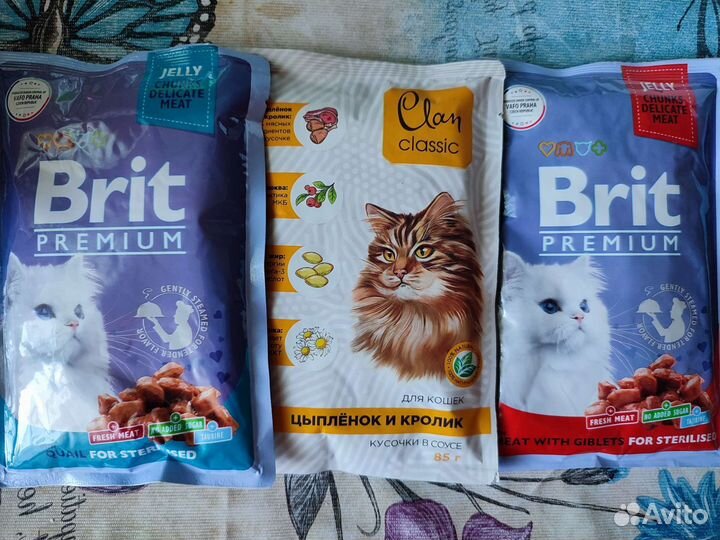 Кошачий корм влажный