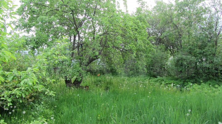 Дача 12 м² на участке 3 сот.