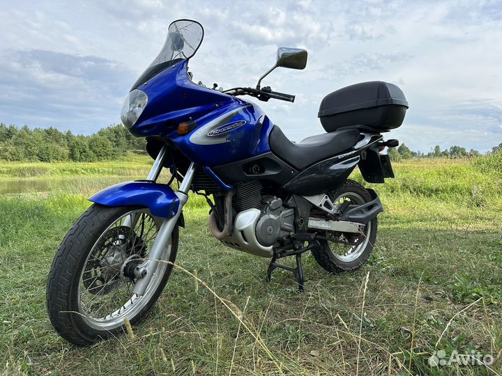 Suzuki XF 650 Freewind