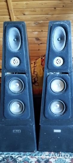 Акустическая система