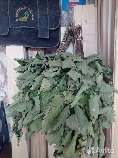 Дубовые веники для бани