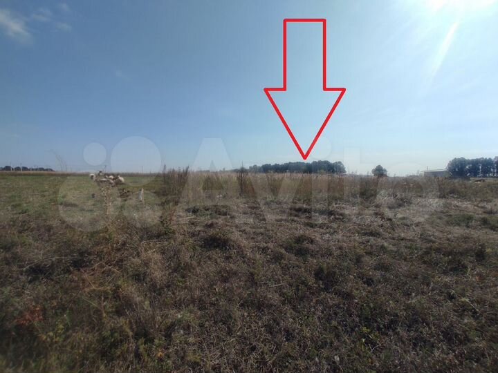 Участок 10,2 сот. (ИЖС)