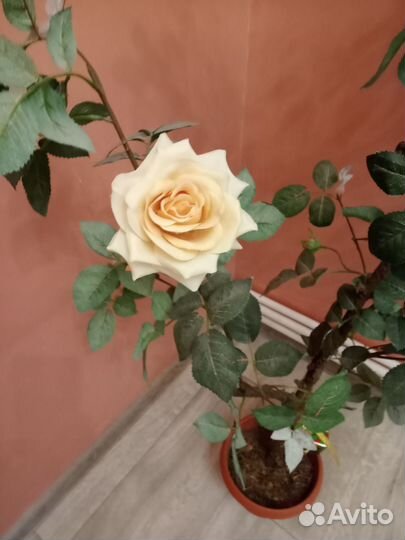 Искусственная роза 115см