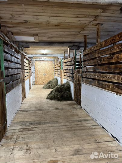 Постой для лошадей/Аренда конюшни