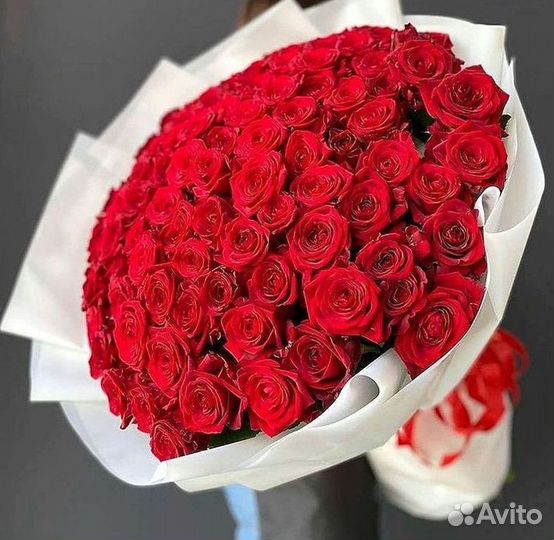 101 Роза Цветы Букеты 51 25 Роз Доставка