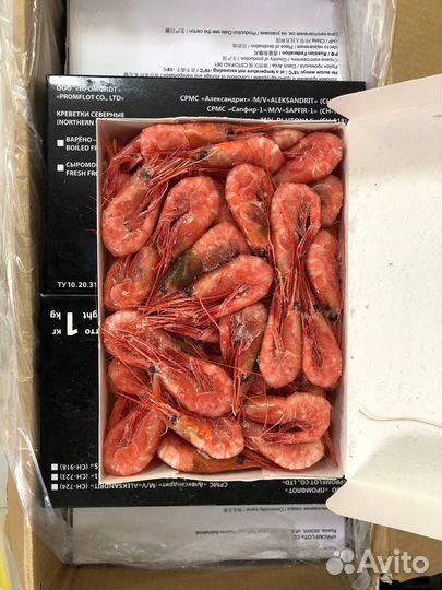 Креветка Северная 70/90 Промфлот