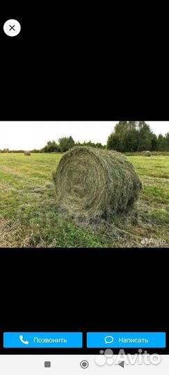 Сено