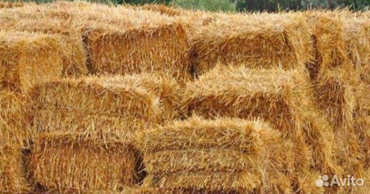 Солома в тюках
