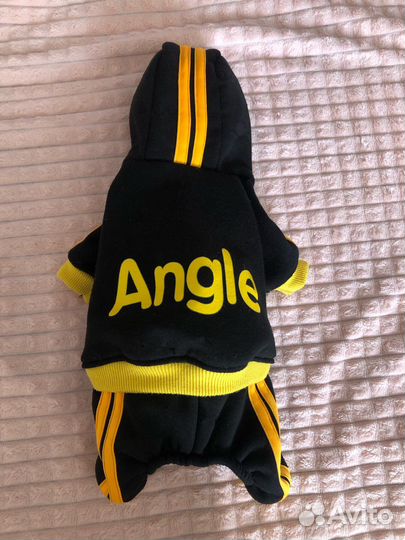 Одежда для собак мелких пород