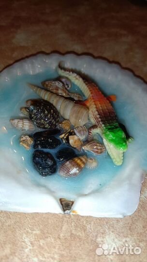 Декоративная ракушка