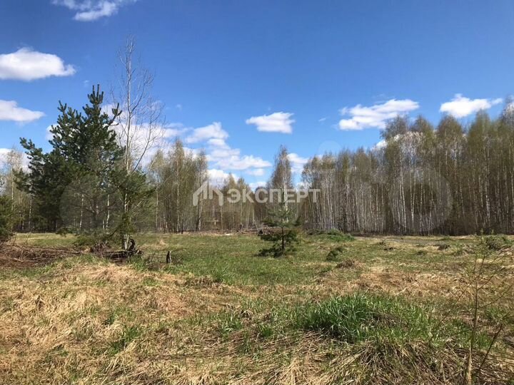 Участок 10 сот. (ИЖС)