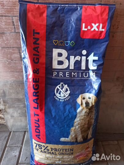 Сухой корм для собак крупных пород