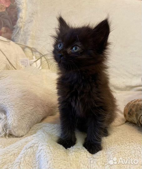 Очарование