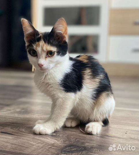 Малышка Нюша ищет любящую семью