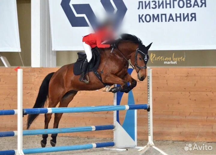 Мерин маршруты 120