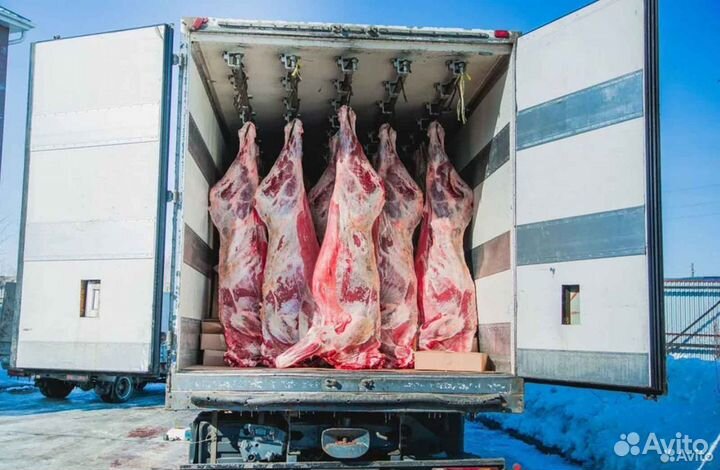 Ищу инвестора/партнера, доход 33348 в мес