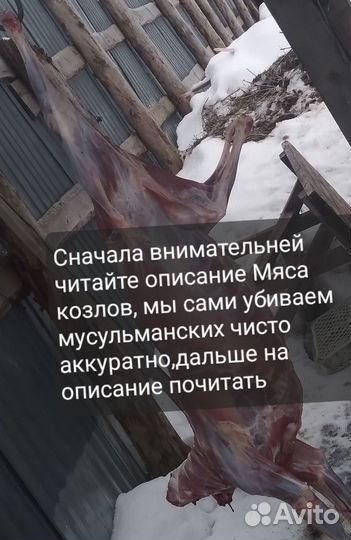 Мясо козла