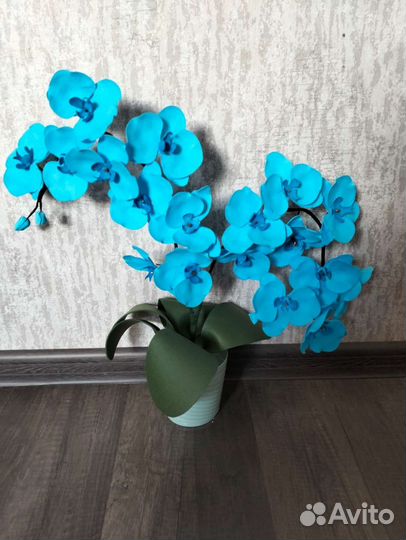 Орхидея, цветы