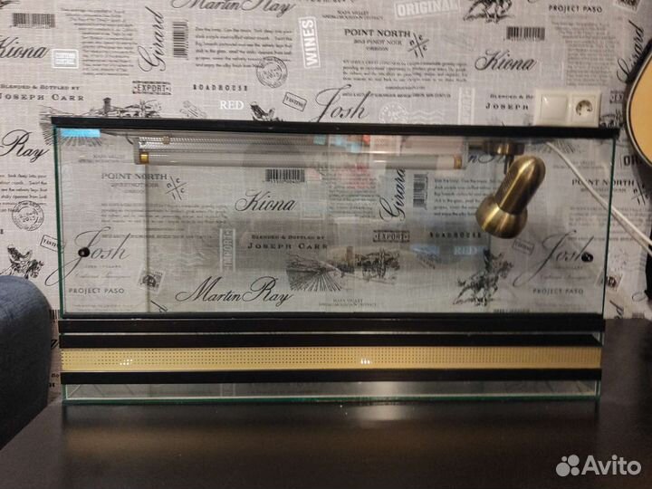 Террариум для бородатой агамы