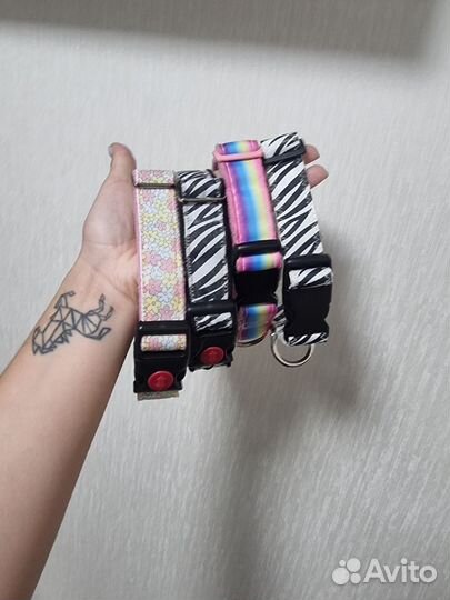 Амуниция для собак